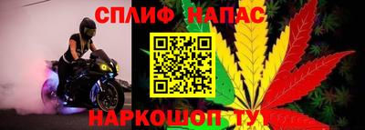 дживик Дубна