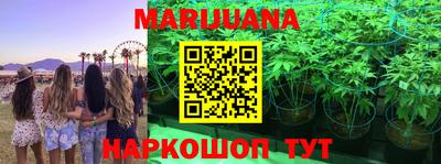 каннабис Донской
