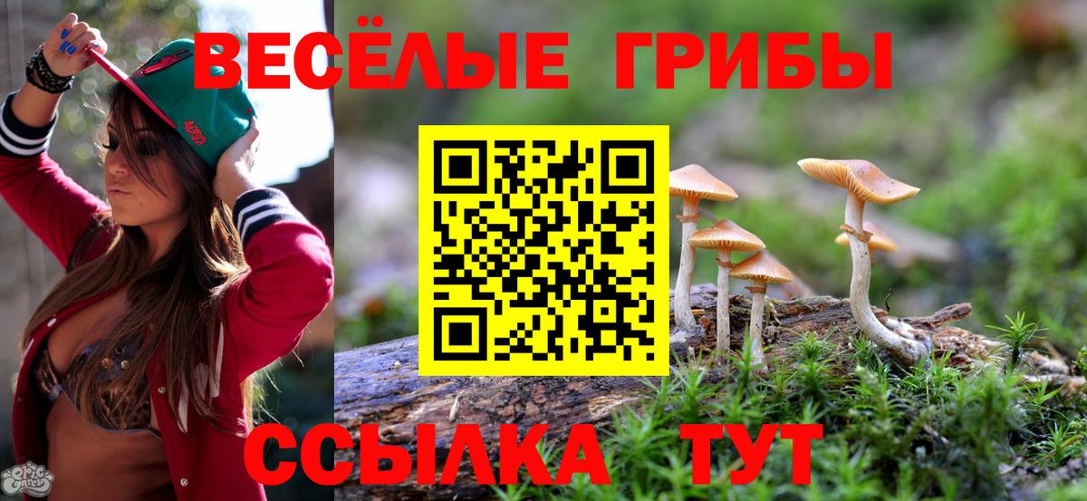 Псилоцибиновые грибы MAGIC MUSHROOMS Кунгур
