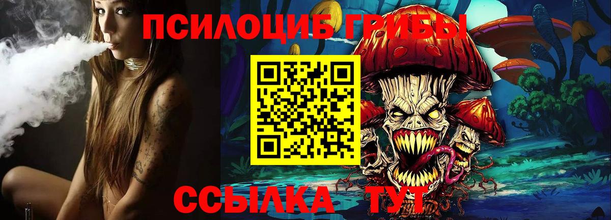 Галлюциногенные грибы Psilocybe  Псилоцибиновые грибы мухоморы  где продают наркотики  Вход с VPN  Кунгур 